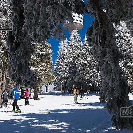 Mtn View - Sleeps4 Petok 5 Min Lift Apartmán